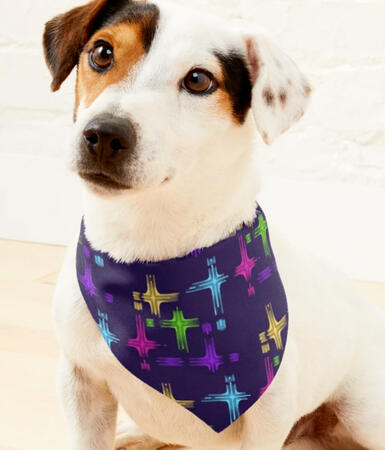 Pet Bandana